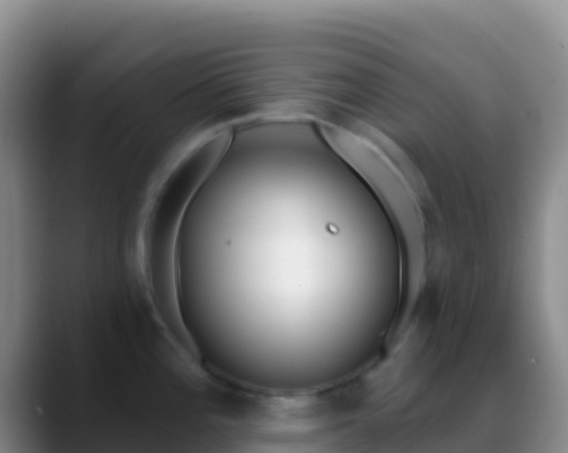 X0000088921196200706151919
