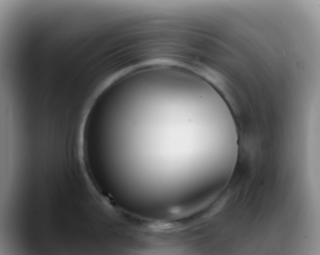 X0000088921199200706151919