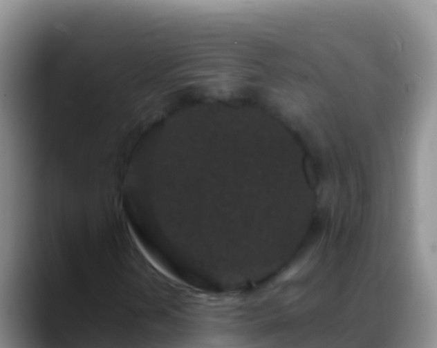 X0000088921202200706151918