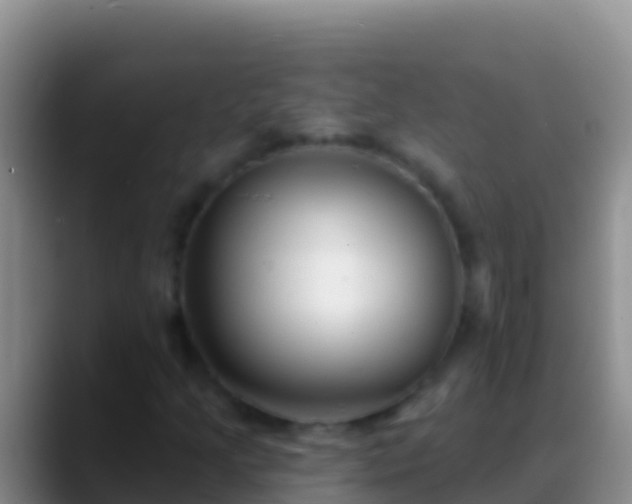 X0000088921205200706151918