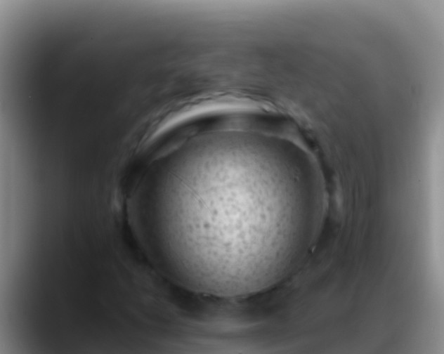 X0000088921206200706151918