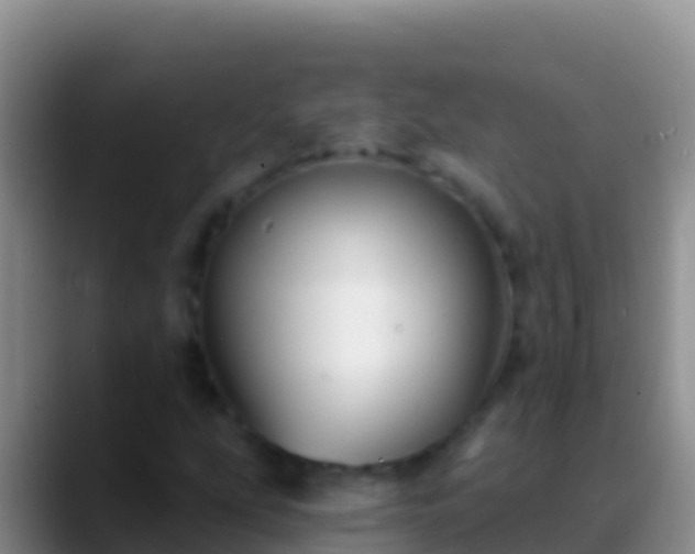 X0000088921207200706151918