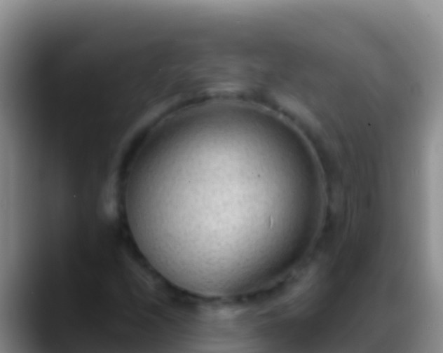 X0000088921208200706151918