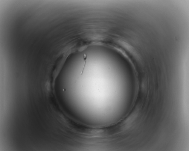 X0000088921209200706151918