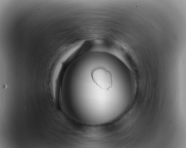 X0000088921210200706151918