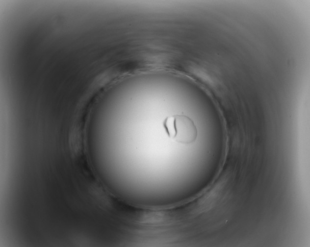 X0000088921211200706151918