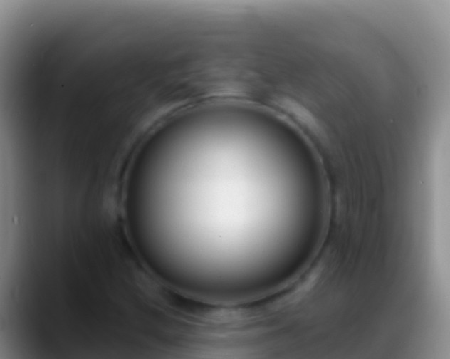 X0000088921212200706151918