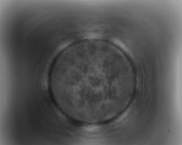 X0000088921213200706151918