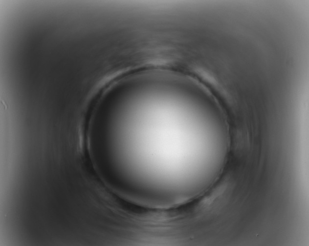 X0000088921214200706151918