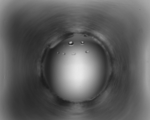 X0000088921217200706151918