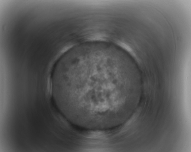 X0000088921219200706151918