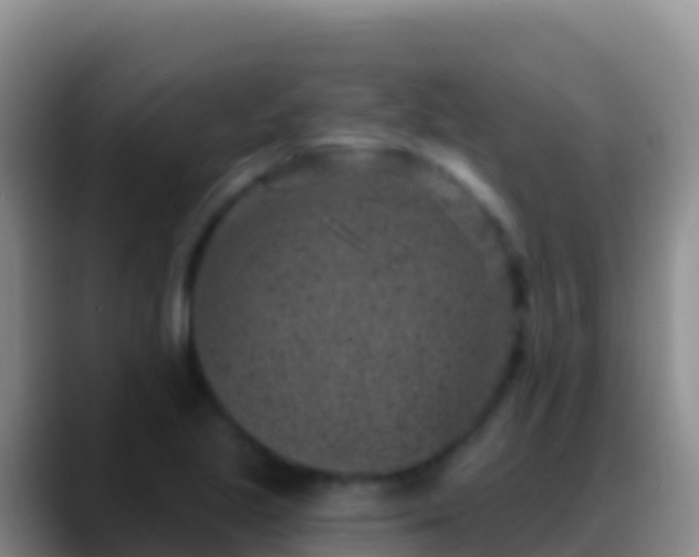 X0000088921221200706151918