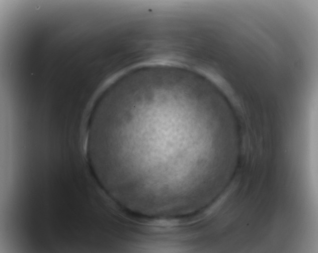 X0000088921224200706151918
