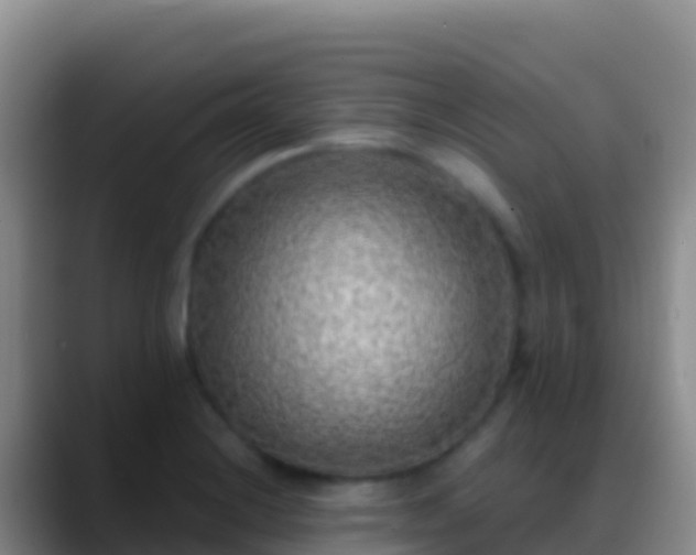 X0000088921228200706151918
