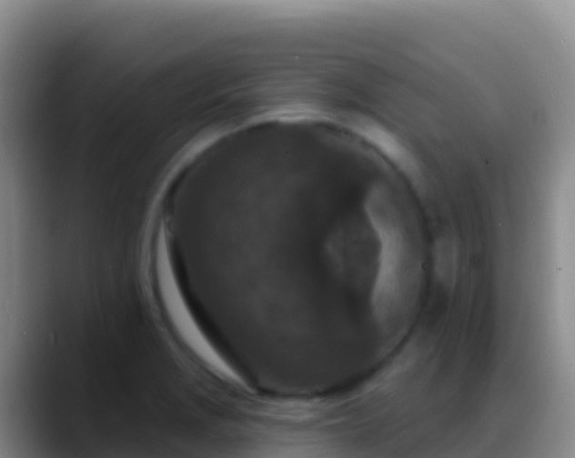 X0000088921229200706151918