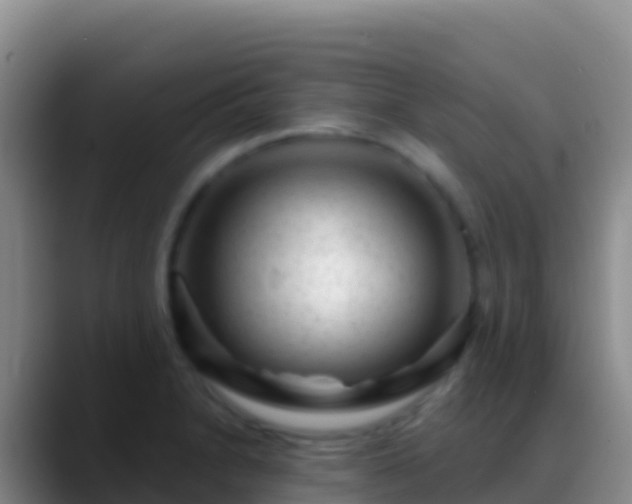 X0000088921230200706151918