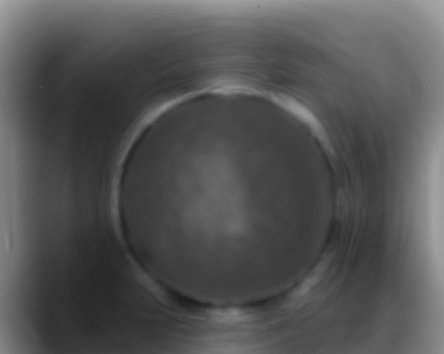X0000088921231200706151918