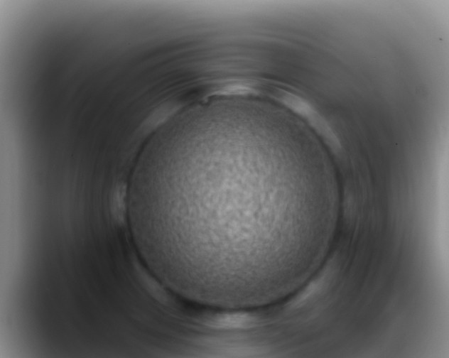 X0000088921233200706151918
