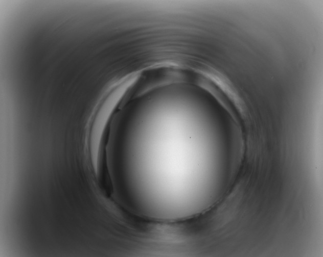X0000088921234200706151918