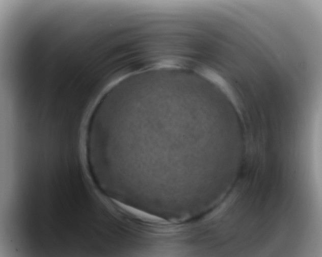X0000088921235200706151918