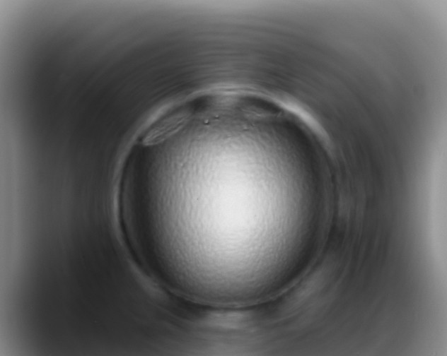X0000088921237200706151918