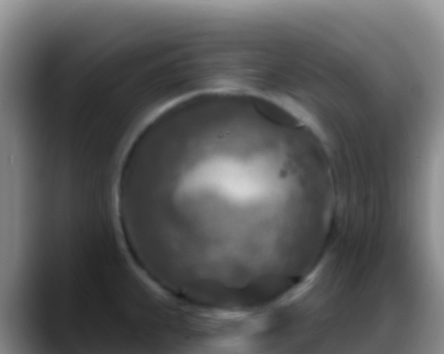 X0000088921239200706151918
