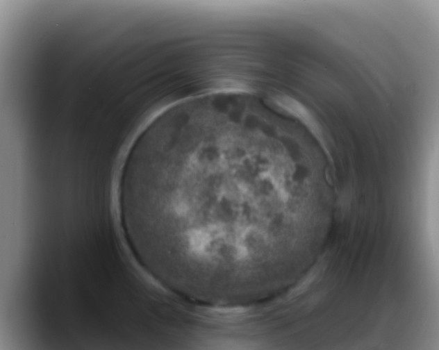 X0000088921243200706151919
