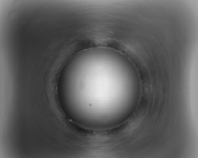 X0000088921249200706151918