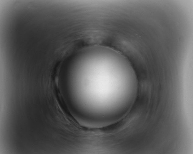 X0000088921250200706151918