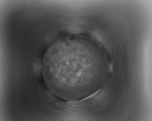 X0000088921251200706151918