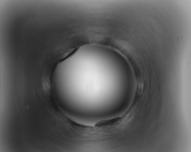 X0000088921252200706151918