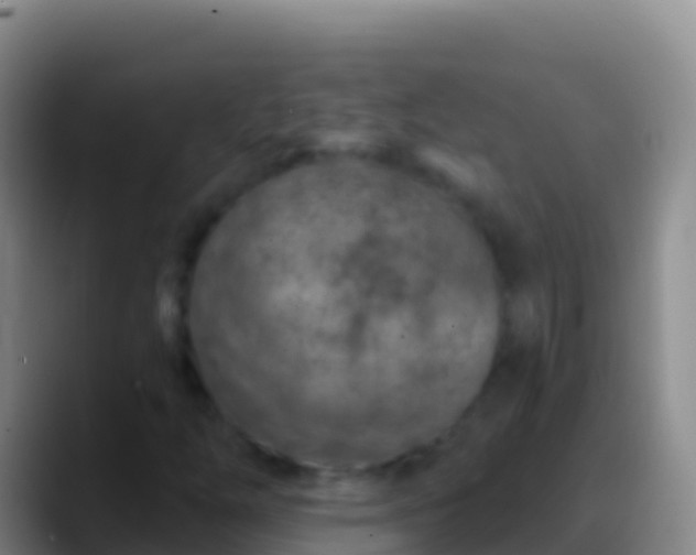 X0000088921254200706151918
