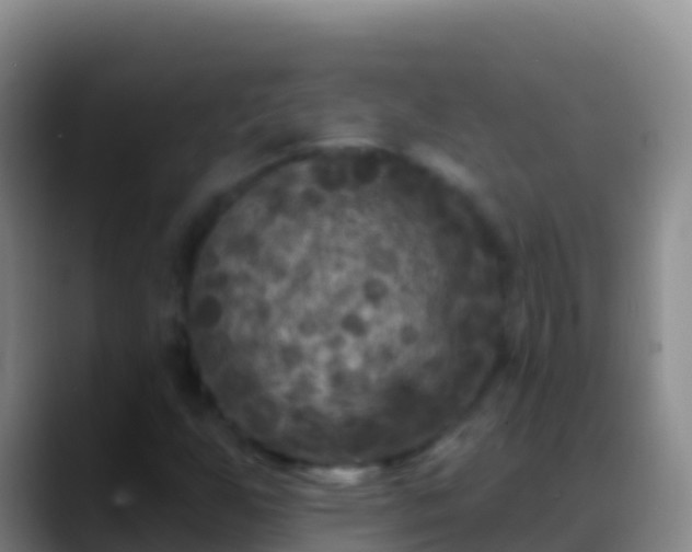 X0000088921255200706151918