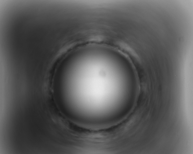 X0000088921256200706151918