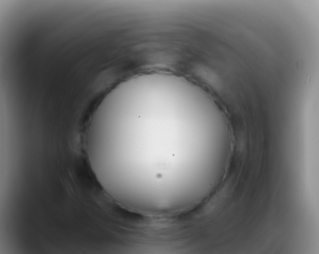 X0000088921258200706151918