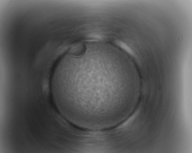 X0000088921259200706151918