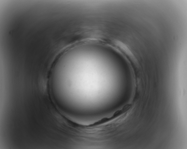 X0000088921260200706151918