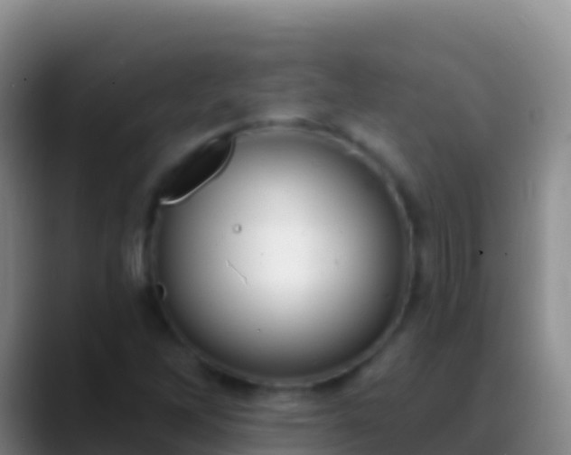 X0000088921262200706151918