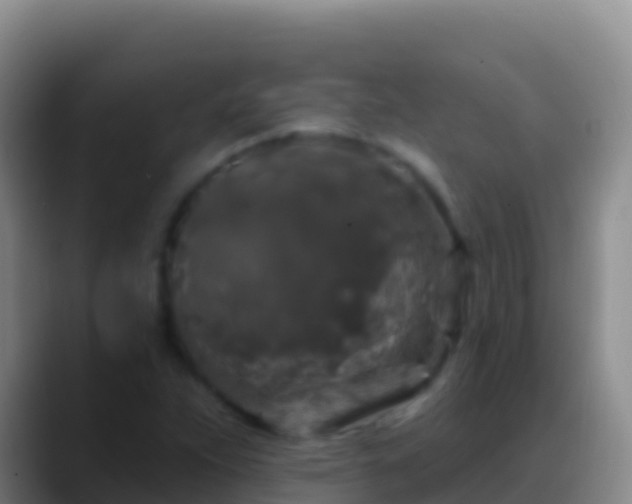 X0000088921263200706151918