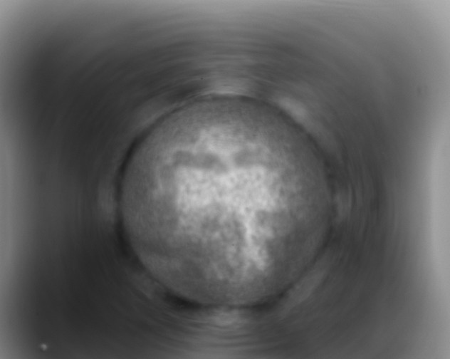 X0000088921266200706151918