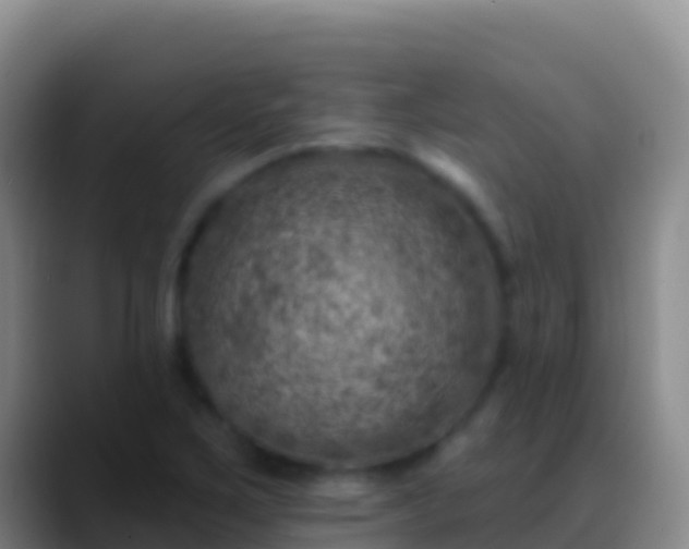 X0000088921267200706151918
