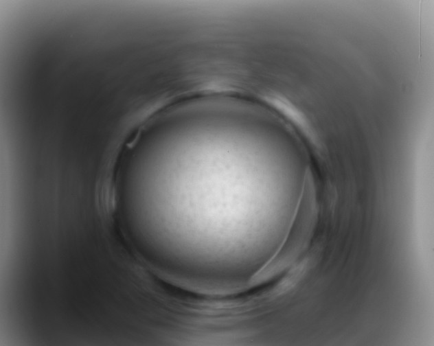 X0000088921269200706151918