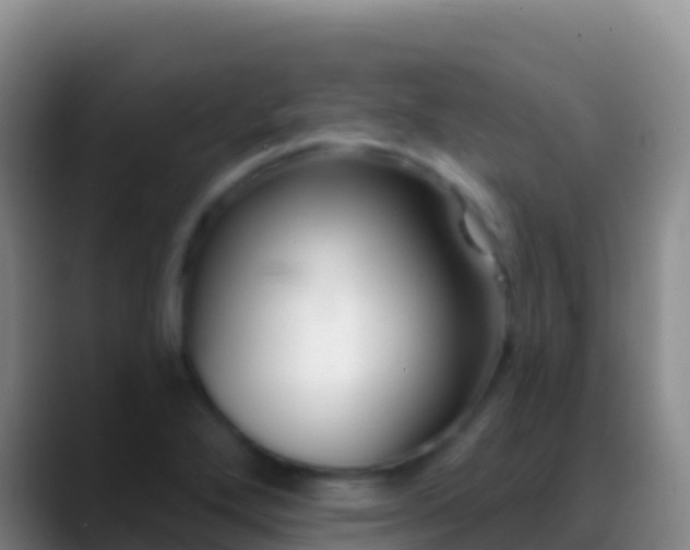 X0000088921272200706151918