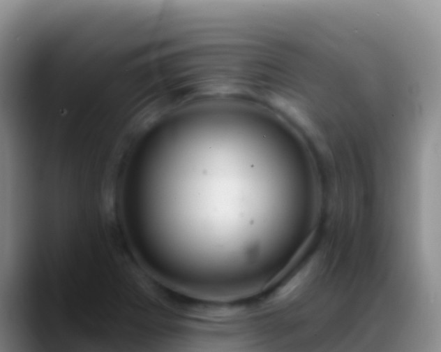 X0000088921273200706151918