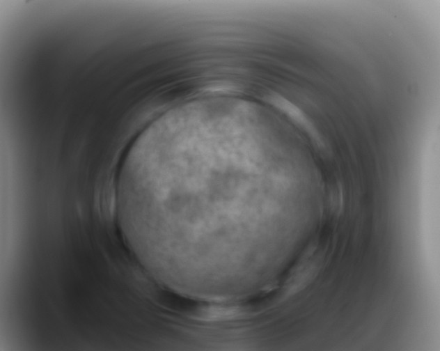 X0000088921274200706151918