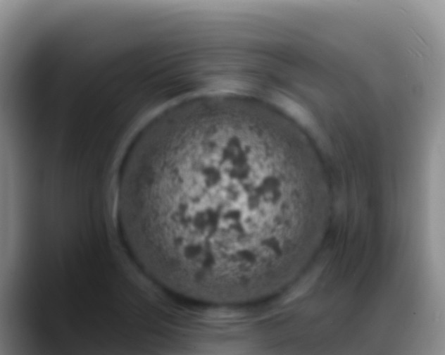 X0000088921275200706151918
