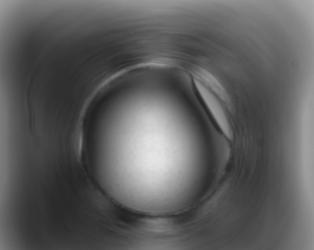 X0000088921276200706151918