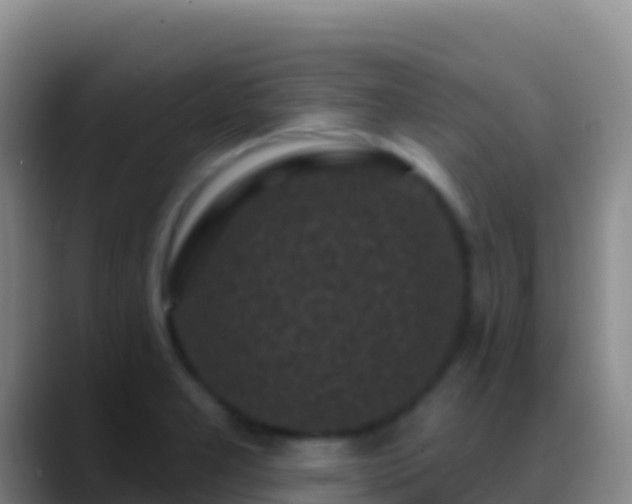 X0000088921277200706151918