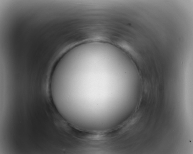 X0000088921278200706151918