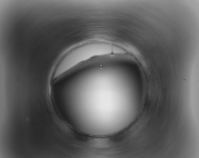 X0000088921280200706151918